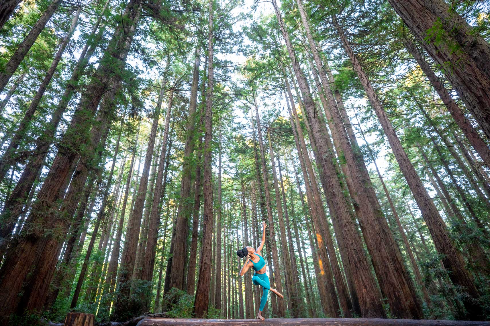 African american woman athlete running in the redwoods by advertising photographer robert houser based in San Francisco